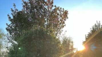 Room, 1 Bedroom, Balcony, Garden View | Garden