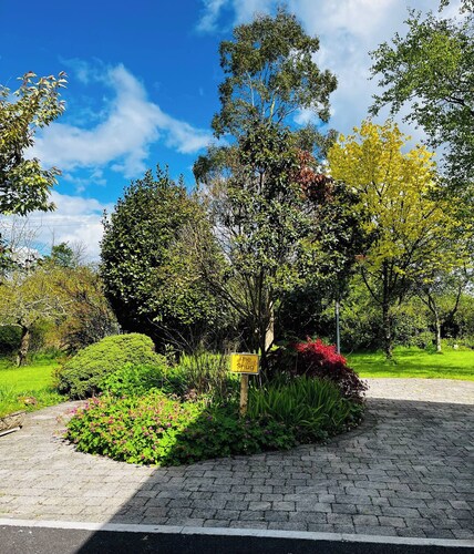 Room-small Studio With 1 Double bed En-s