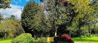 Room-small Studio With 1 Double bed En-s