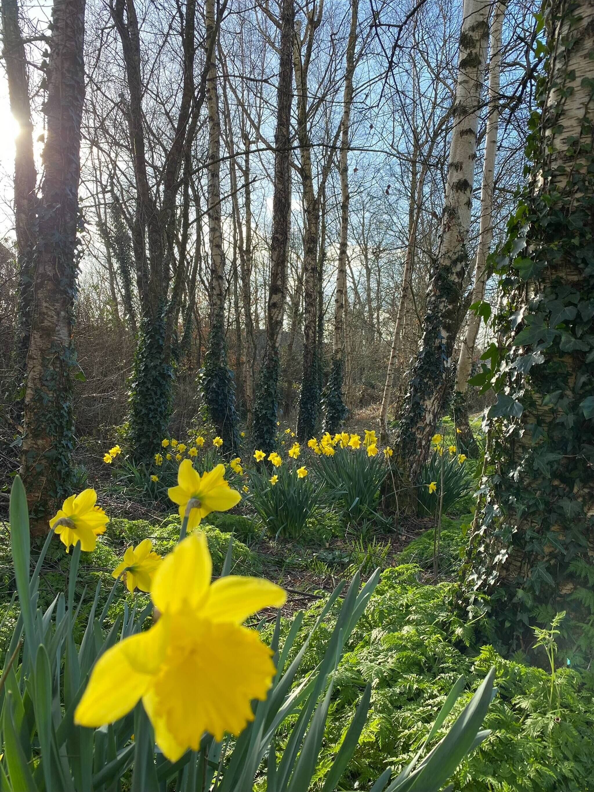 Room, 1 Bedroom, Balcony, Garden View | Property grounds