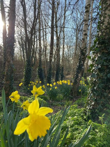 Room-small Studio With 1 Double bed En-s