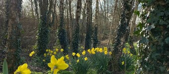 Room-small Studio With 1 Double bed En-s