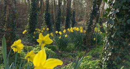 Room-small Studio With 1 Double bed En-s