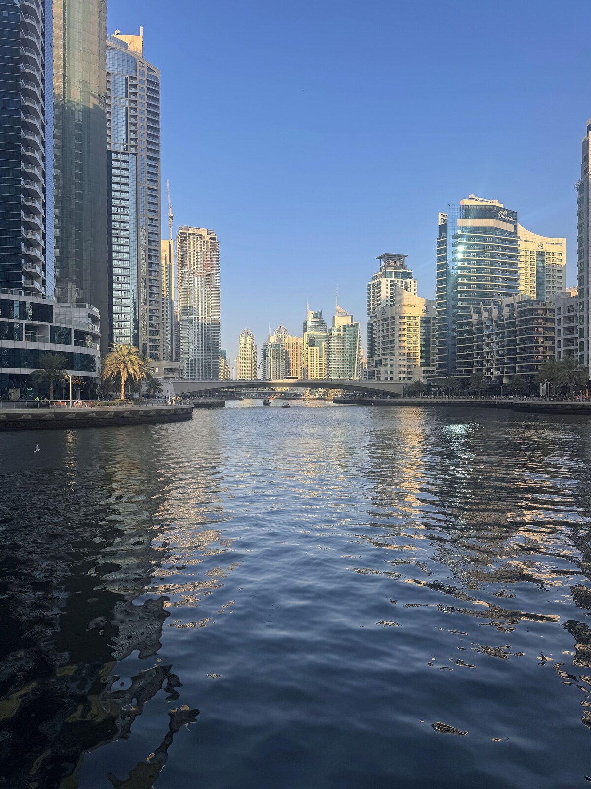 Host profile image