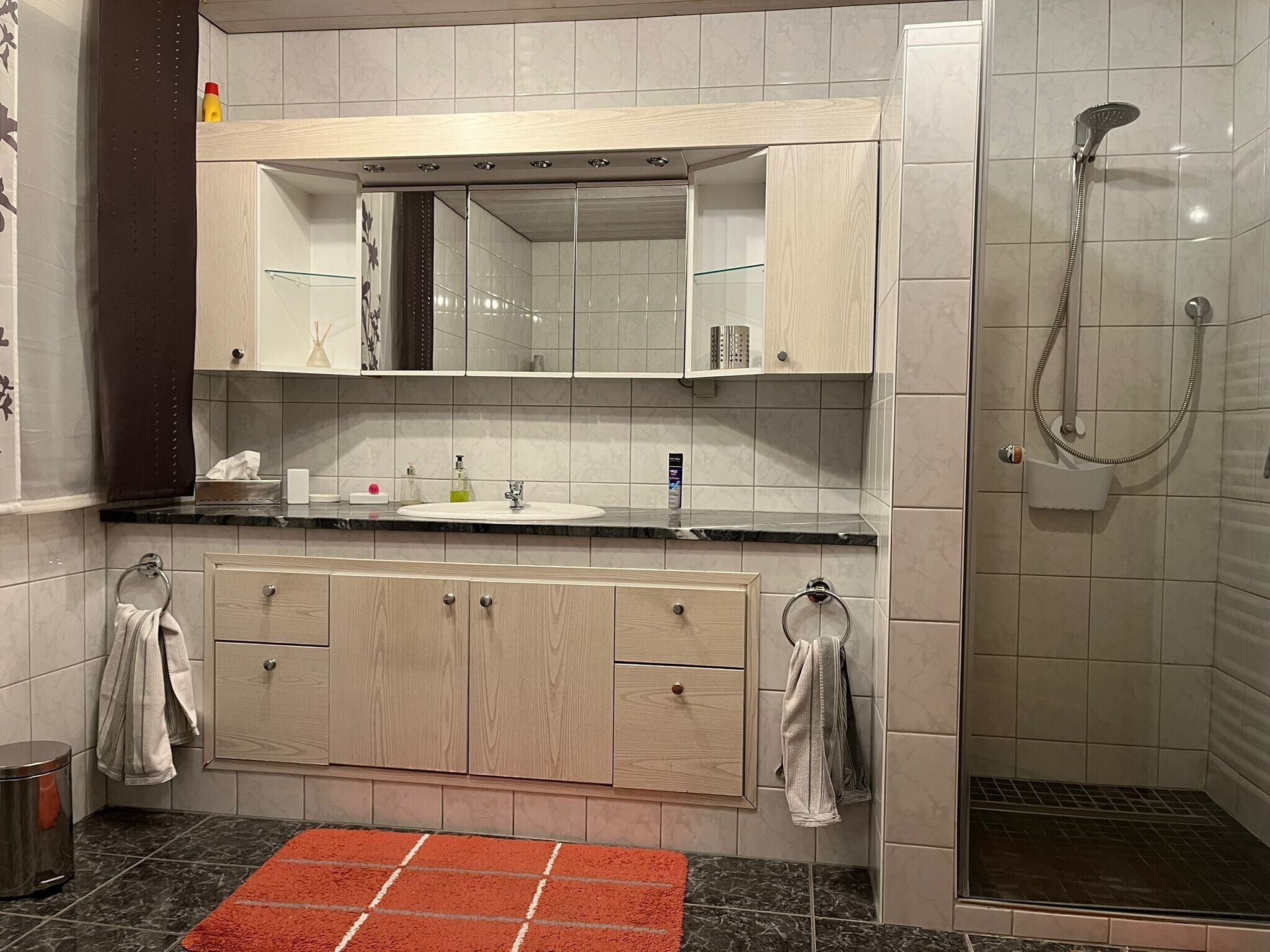 Dusche, Haartrockner, Handtücher