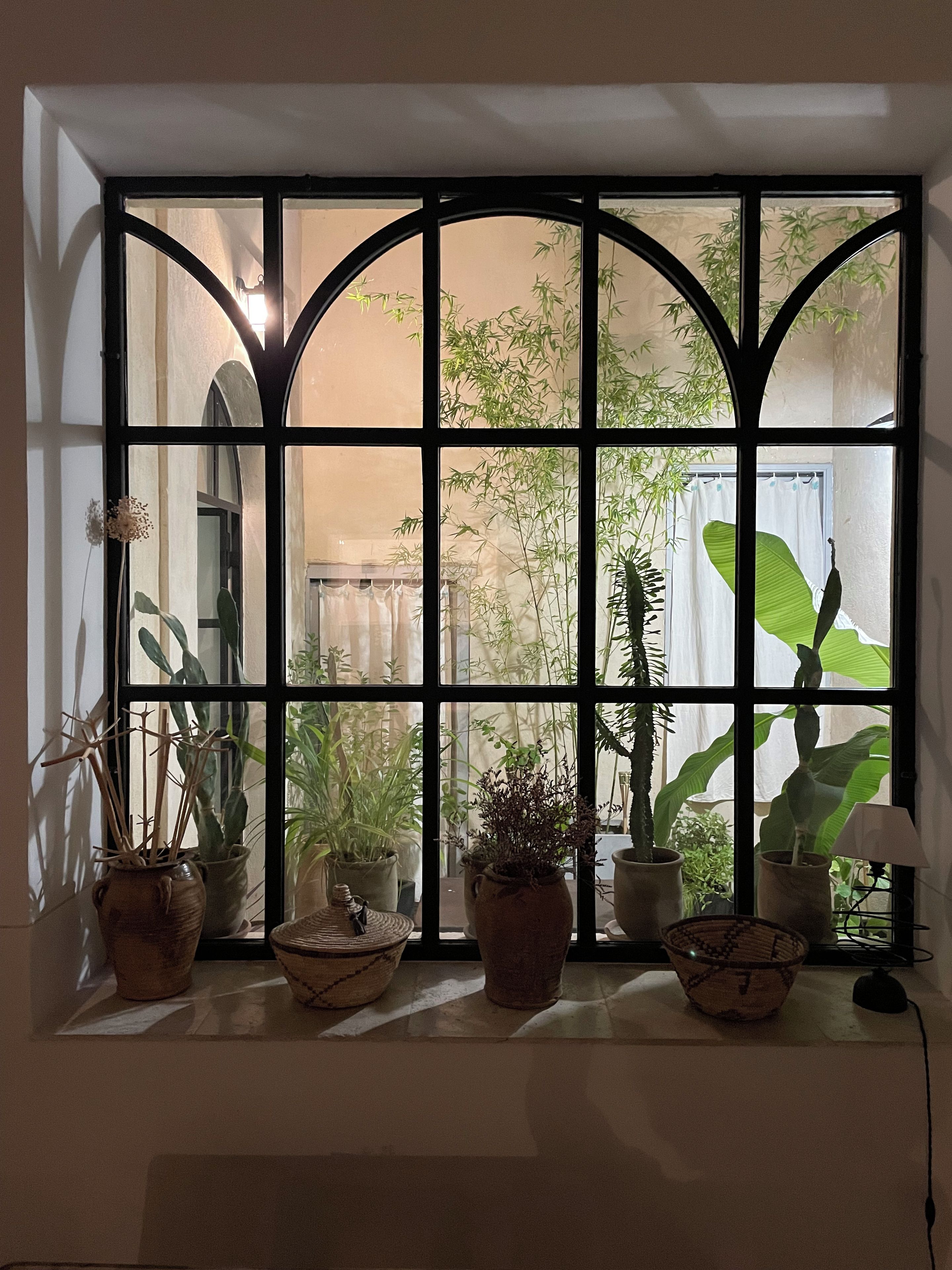 A window with multiple panes, through which various potted plants are visible.