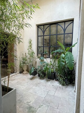 Property grounds - Charming atypical gîte, canal du midi, near sea, Capestang center (Capestang)