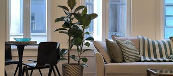 Lovely city center Duplex | 8 people
