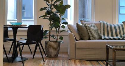 Lovely city center Duplex | 8 people