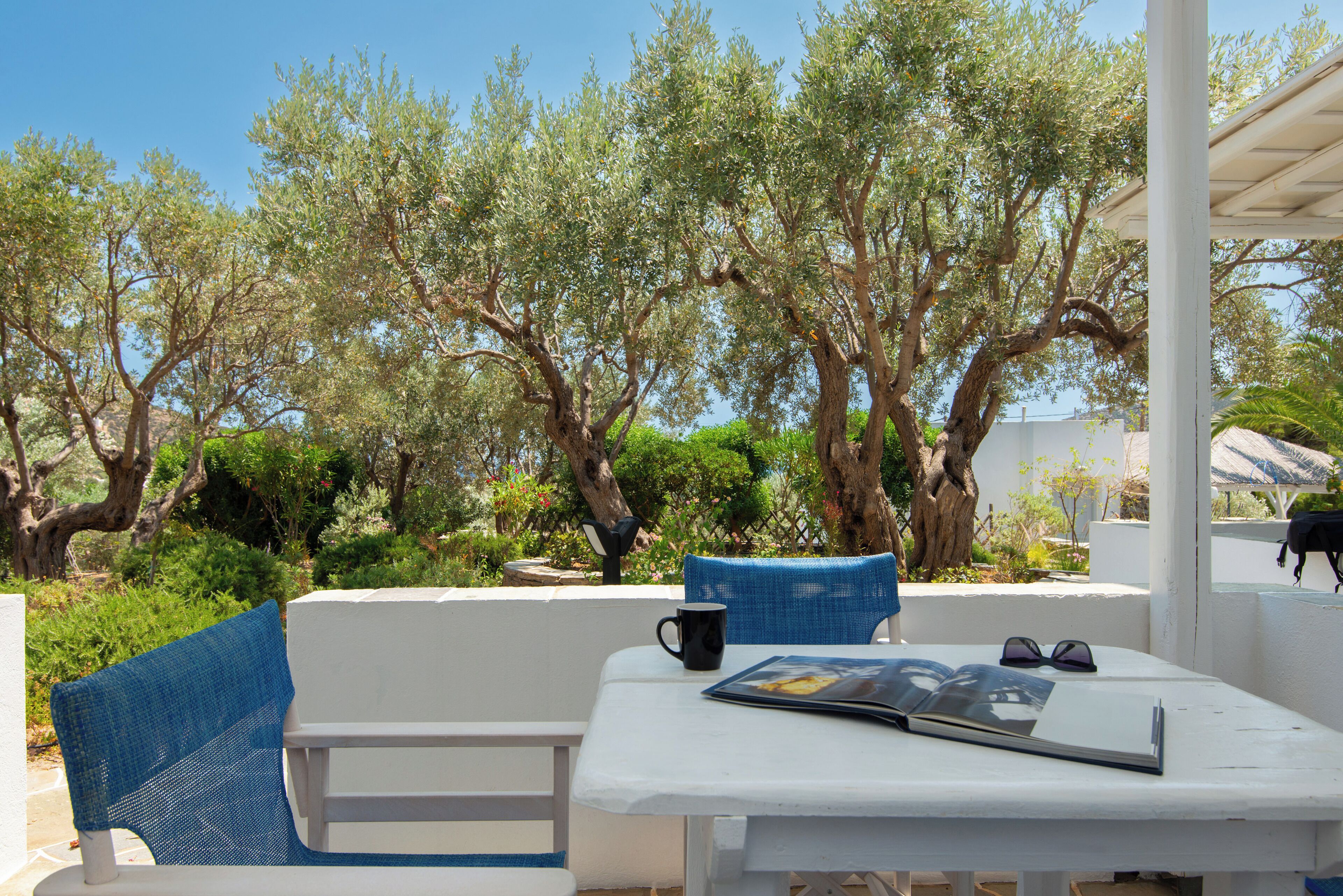 Familien-Suite | Terrasse/Patio