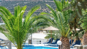 Seasonal outdoor pool, pool umbrellas, pool loungers