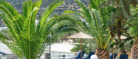 Seasonal outdoor pool, pool umbrellas, pool loungers