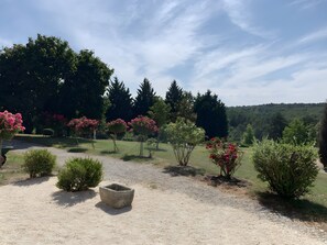 Property grounds - Maison des hôtes – Dordogne: Charming Cottage for 4-5 Guests in Nature (Saint-Crépin-d'Auberoche)