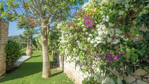Un jardín con un árbol, un muro cubierto de flores y un sendero.