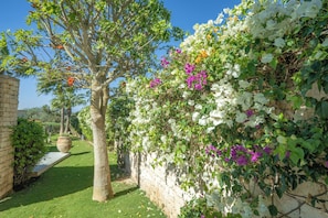 A garden with a tree, a wall covered in flowers, and a pathway. - Contemporary Luxury Villa - Pool, Ocean View & Housekeeper – Golf , Essaouira (Essaouira)