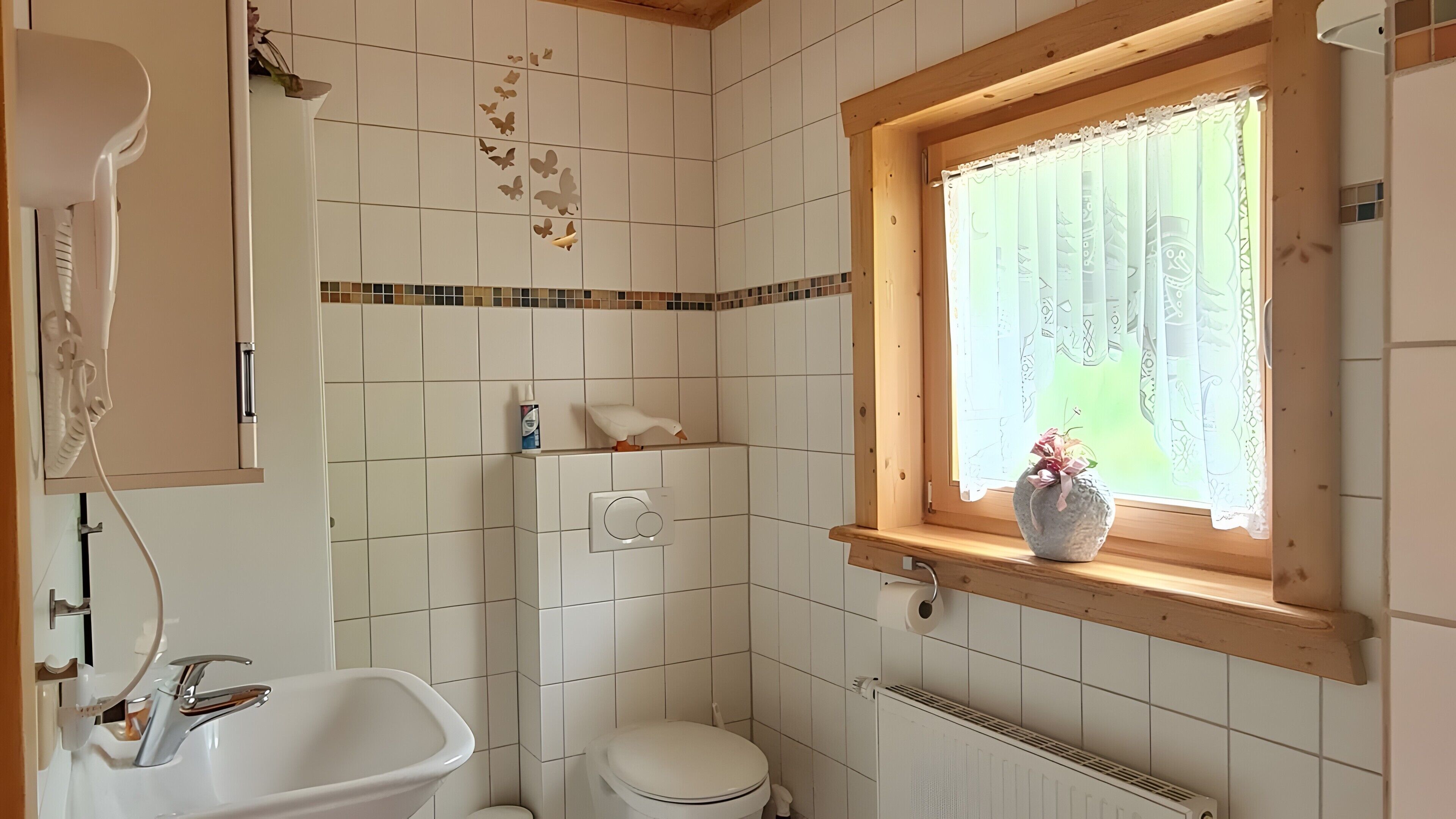 Dusche, Haartrockner