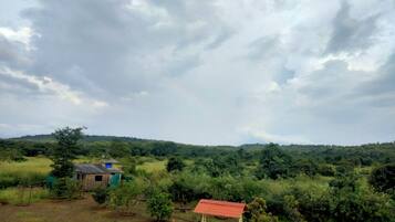 A rural landscape with a house, a swing, and a cow in the distance.