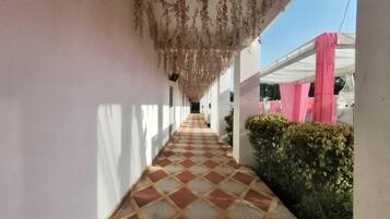 House | Property grounds