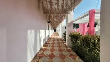 House | Property grounds