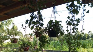 A covered patio area with hanging planters, a wooden fence, and a variety of potted plants. - Quiet Corner (Prudentópolis)
