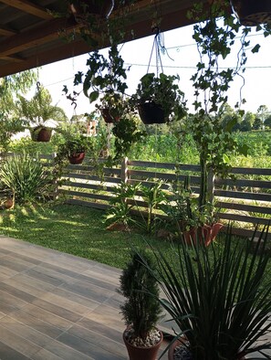 Área da propriedade