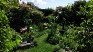 Een tuinpad omringd door weelderige begroeiing en bloeiende planten.