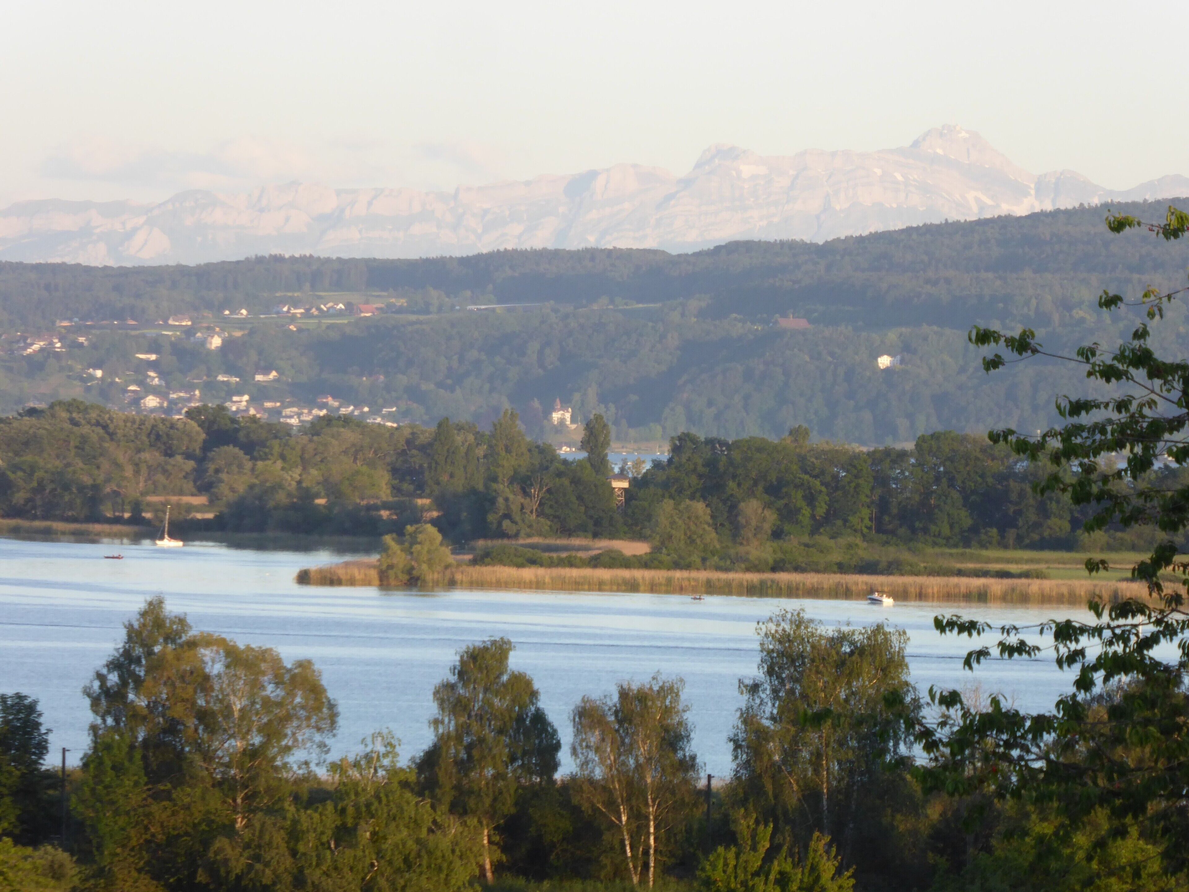 Un lac avec un bateau, entouré d’arbres et avec des montagnes en arrière-plan.