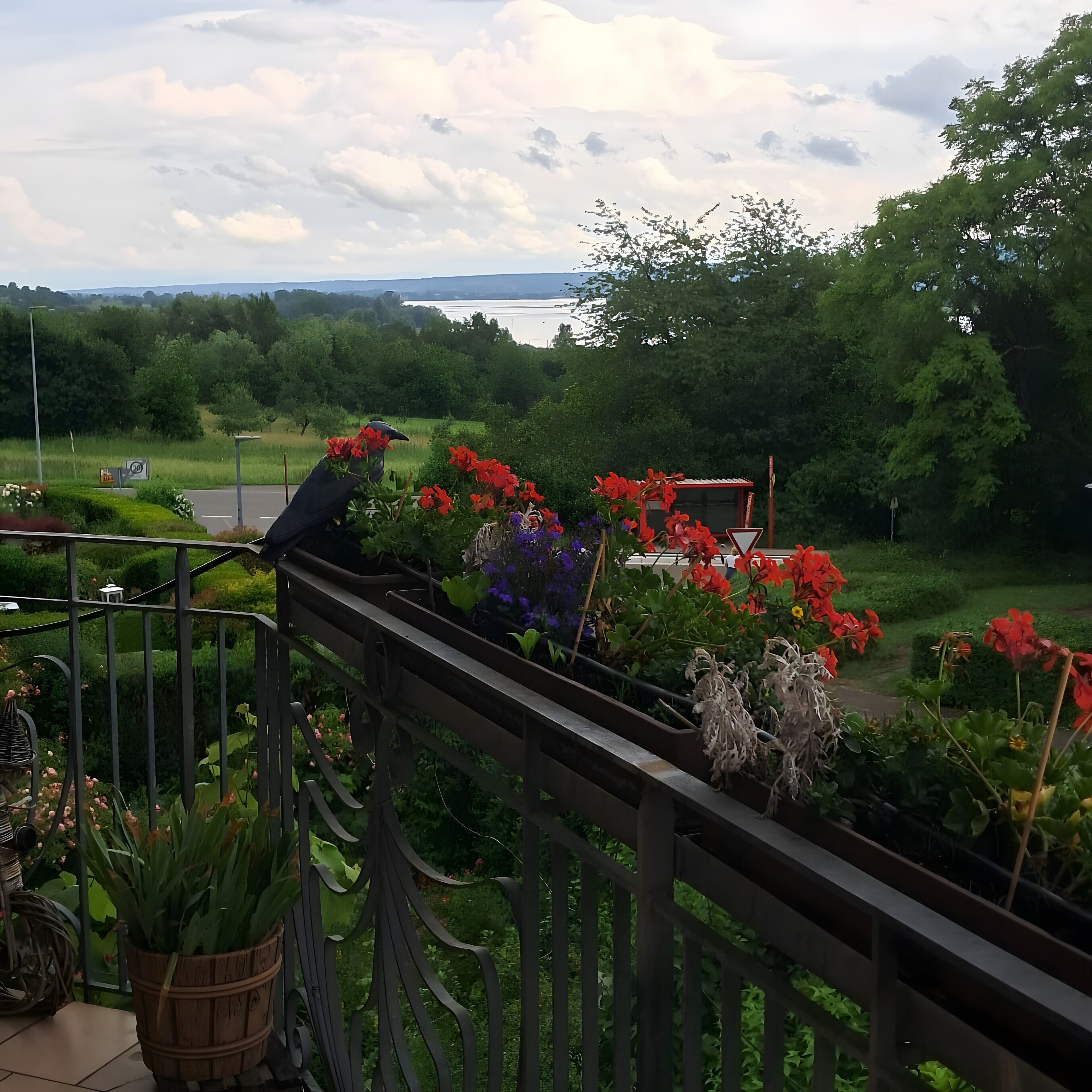 Un balcon avec une balustrade, des plantes en pot et des fleurs.