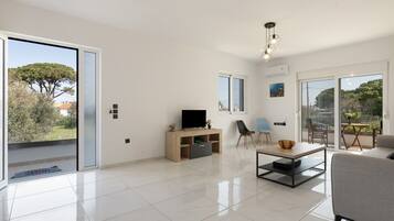 Télévision, table de tennis de table