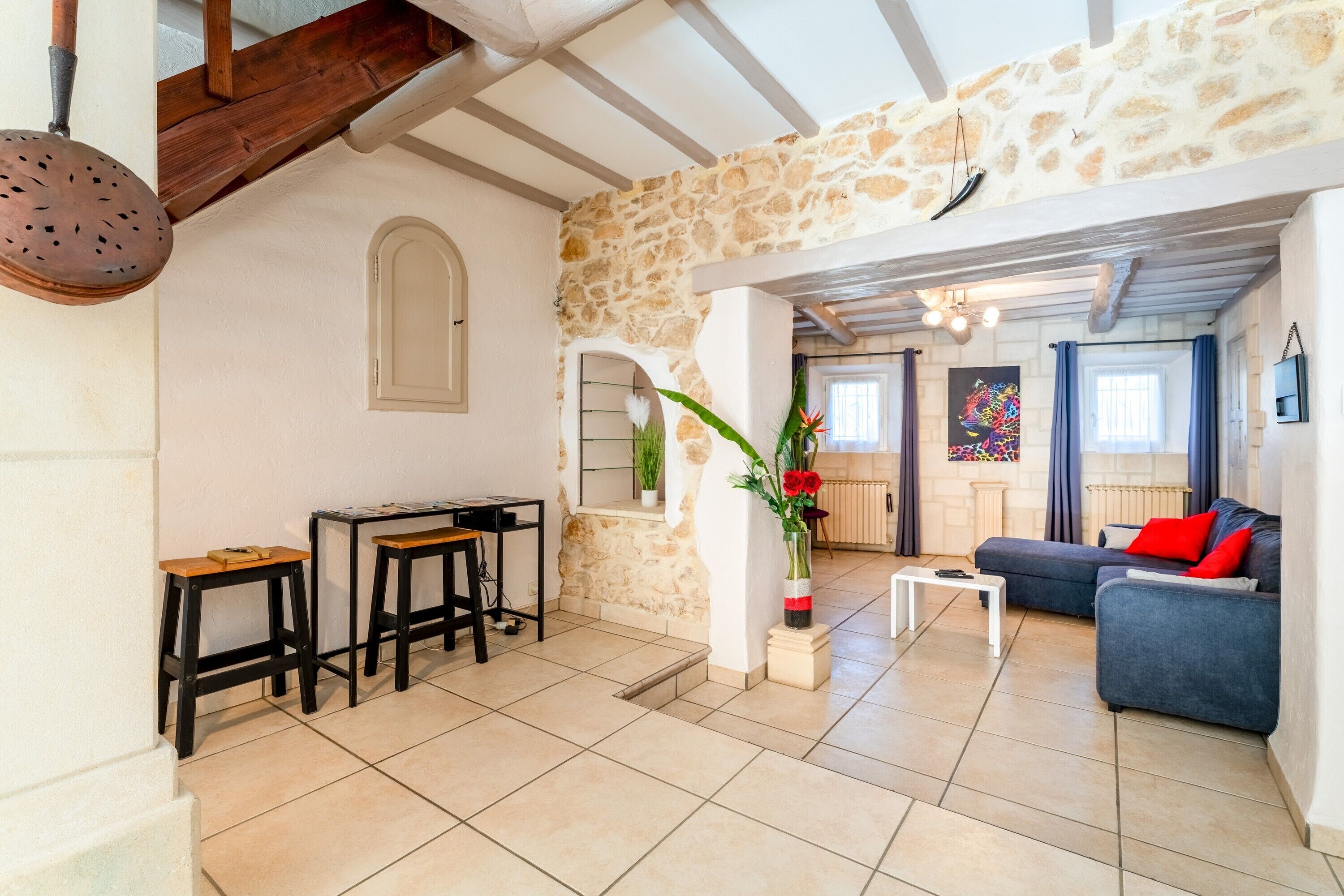 電視、DVD 播放機