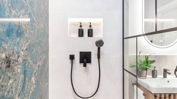 Shower, hair dryer, towels