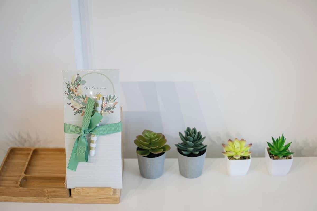 A welcome card with a green ribbon and four potted succulents.