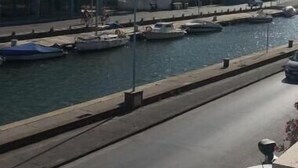 Un puerto deportivo con barcos amarrados, un edificio con columnas y una calle con coches estacionados.