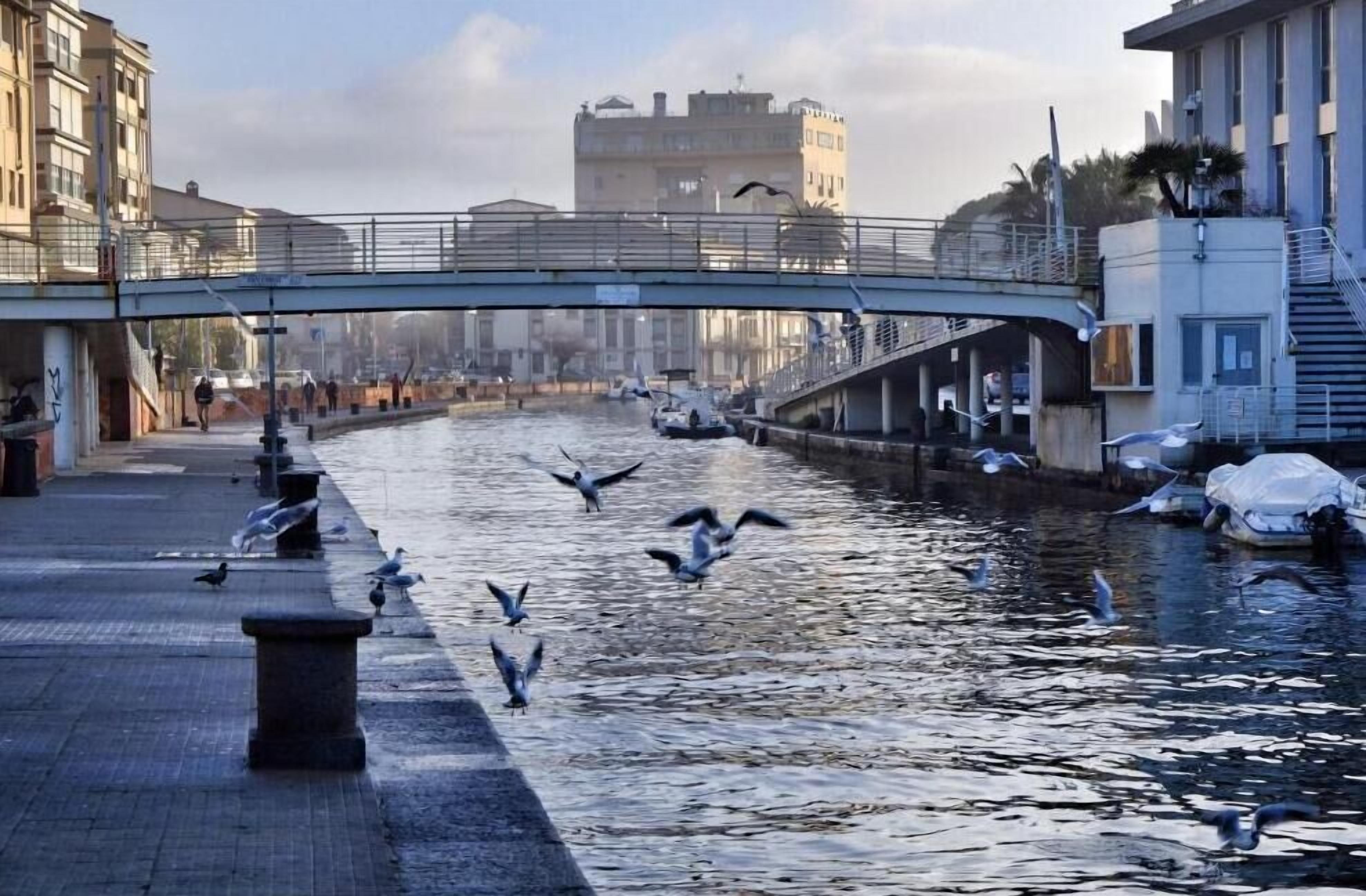 A riverside walkway with a bridge, boats, and seagulls.