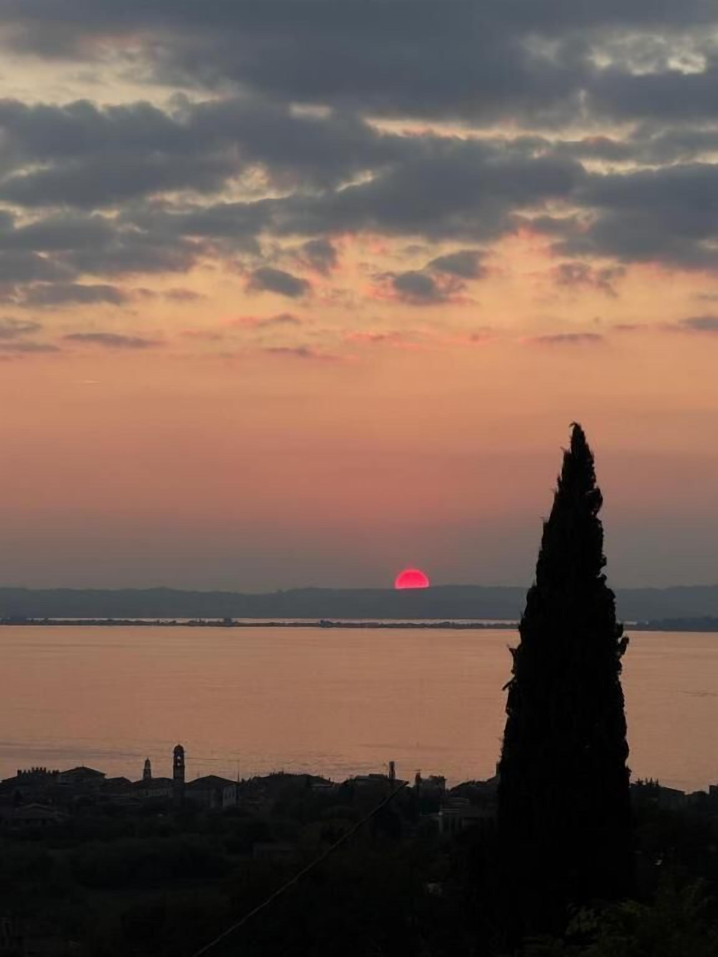 Un capvespre sobre un cos d'aigua amb la silueta d'un arbre alt i edificis llunyans.