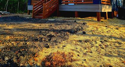 Tiny House. King bed. Queen bed. Quaint Neighborhood Beach!