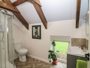 Shower - The Loft (Rosbercon)