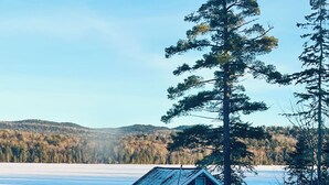 A cabin with a metal roof and a small porch, surrounded by snow and trees. - Cozy 2-bedroom lakeside cabin with direct trail access (Ashland)
