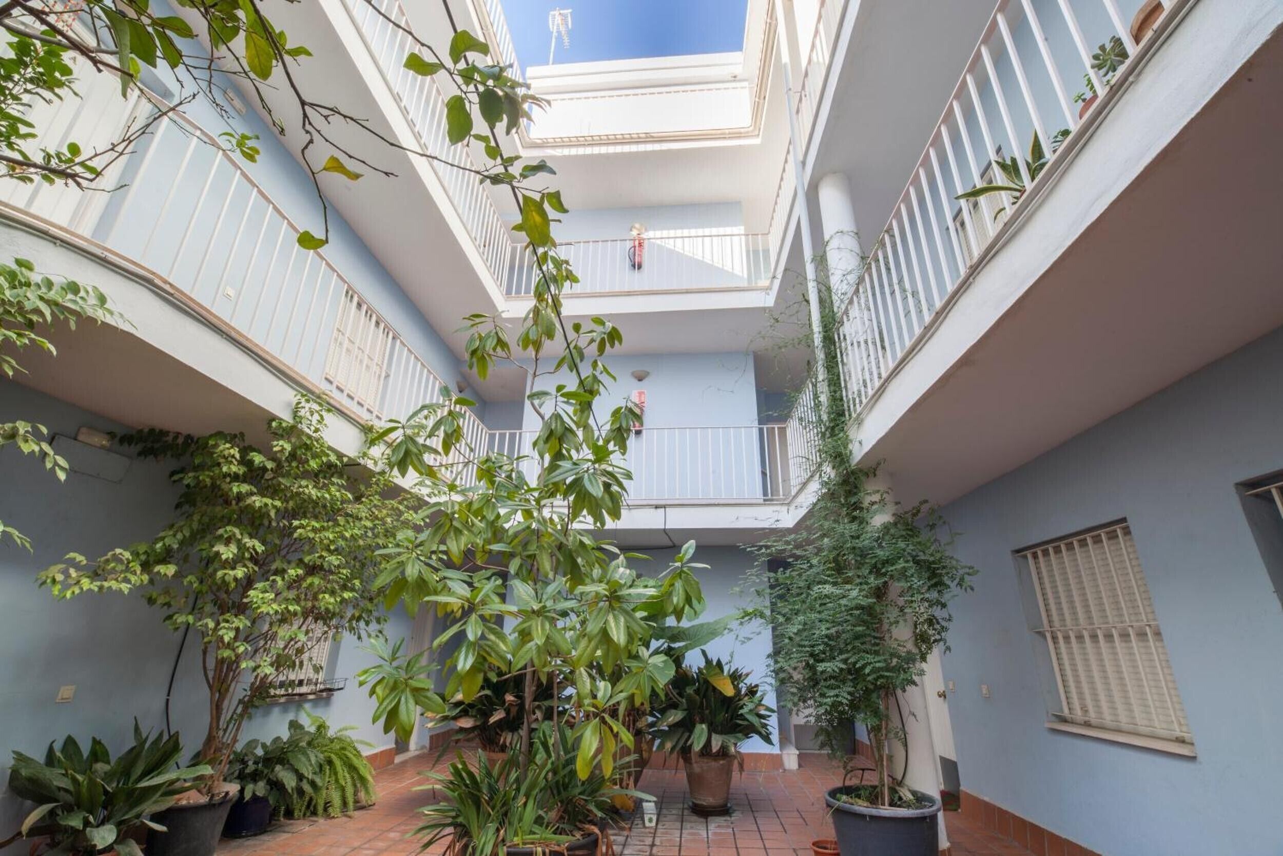 Terrein van de accommodatie