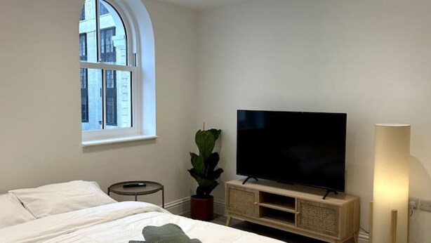 Habitación de hotel moderna con una cama grande, un televisor de pantalla plana, una mesita auxiliar pequeña, una planta en maceta y una lámpara de pie.