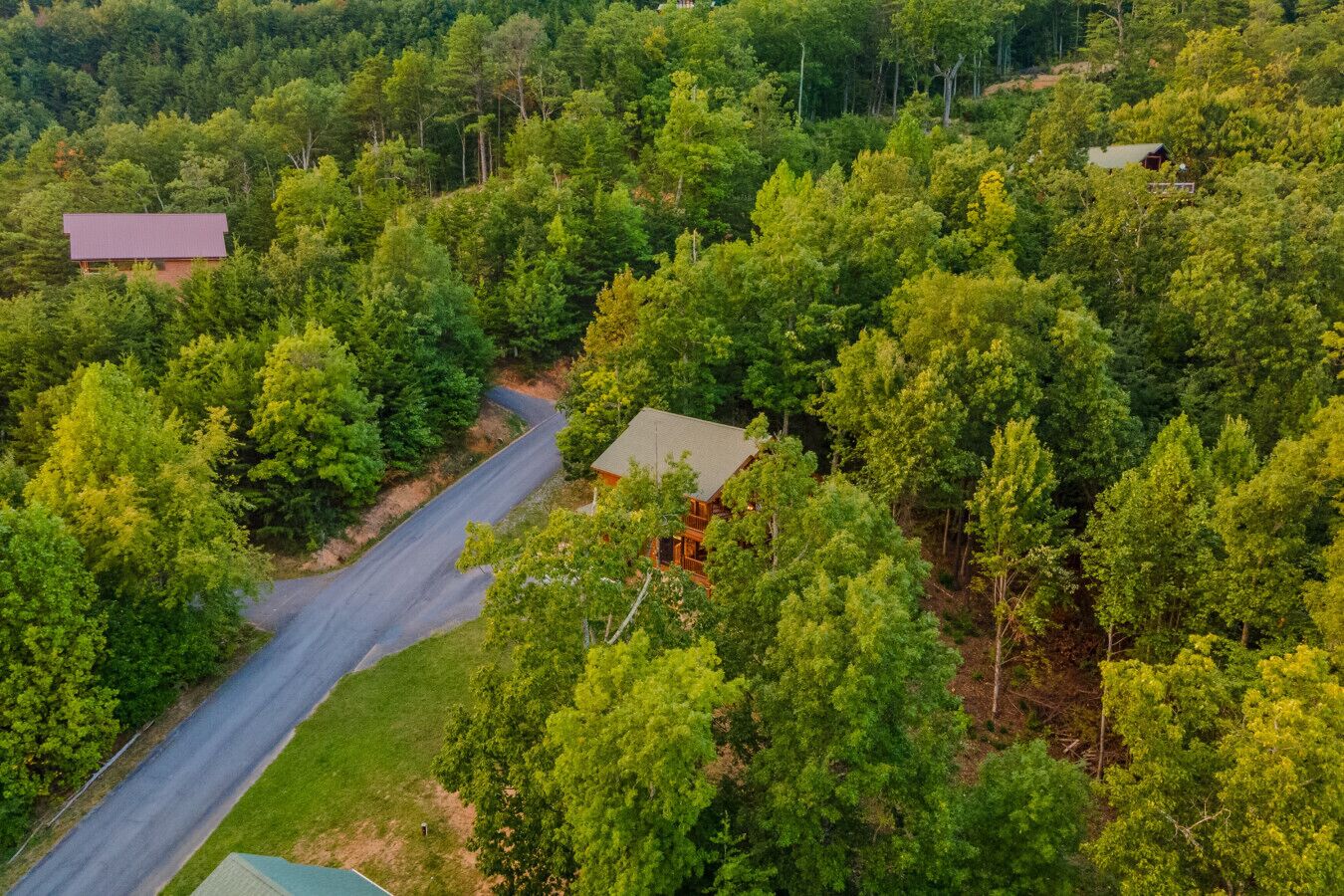 A secluded cabin surrounded by dense forest, accessible by a narrow road.