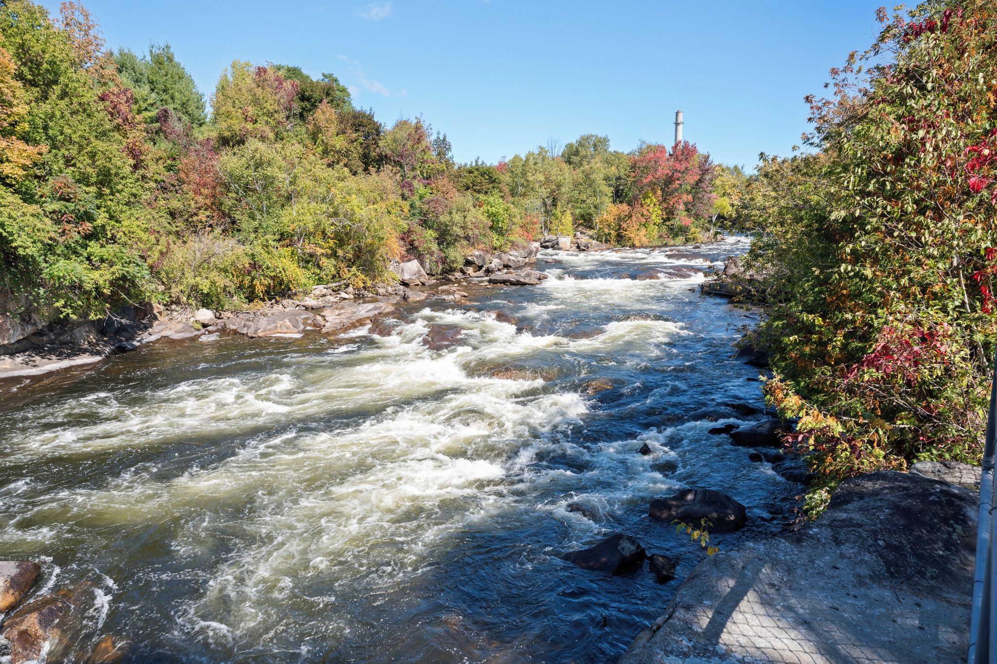 A river flowing through a forested area with a rocky bed and trees with autumn foliage.