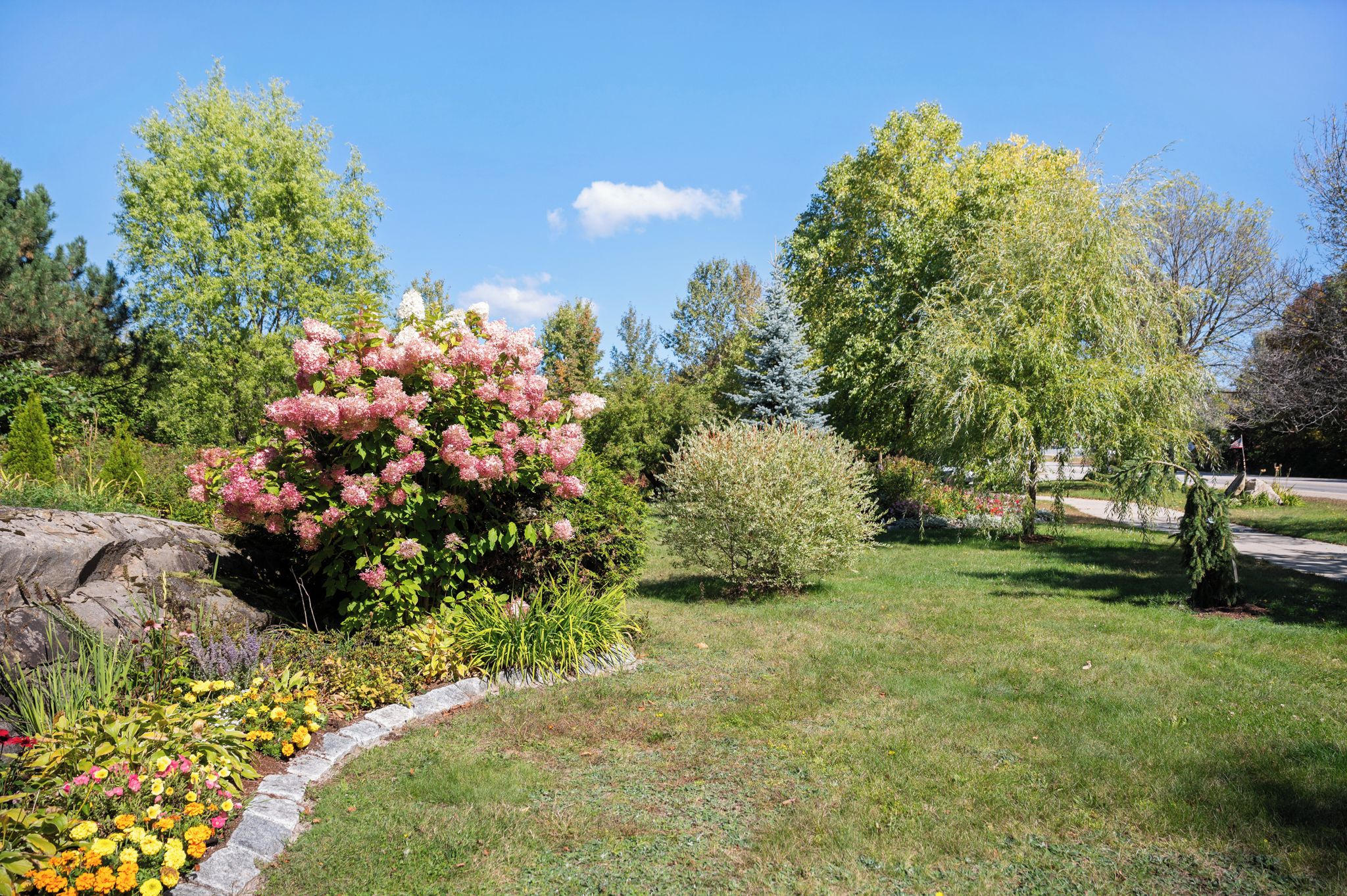 A landscaped garden with a variety of plants and trees, a stone pathway, and a clear blue sky.
