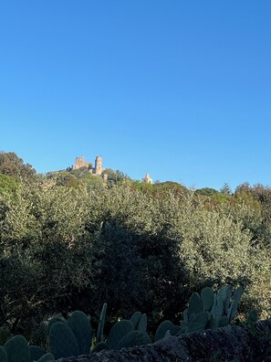 Miscellaneous - THE BLUE HOUSE (Grimaud)