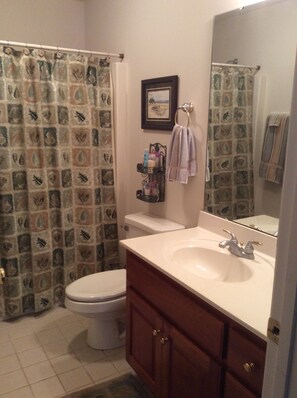 Shower, hair dryer, towels, toilet paper