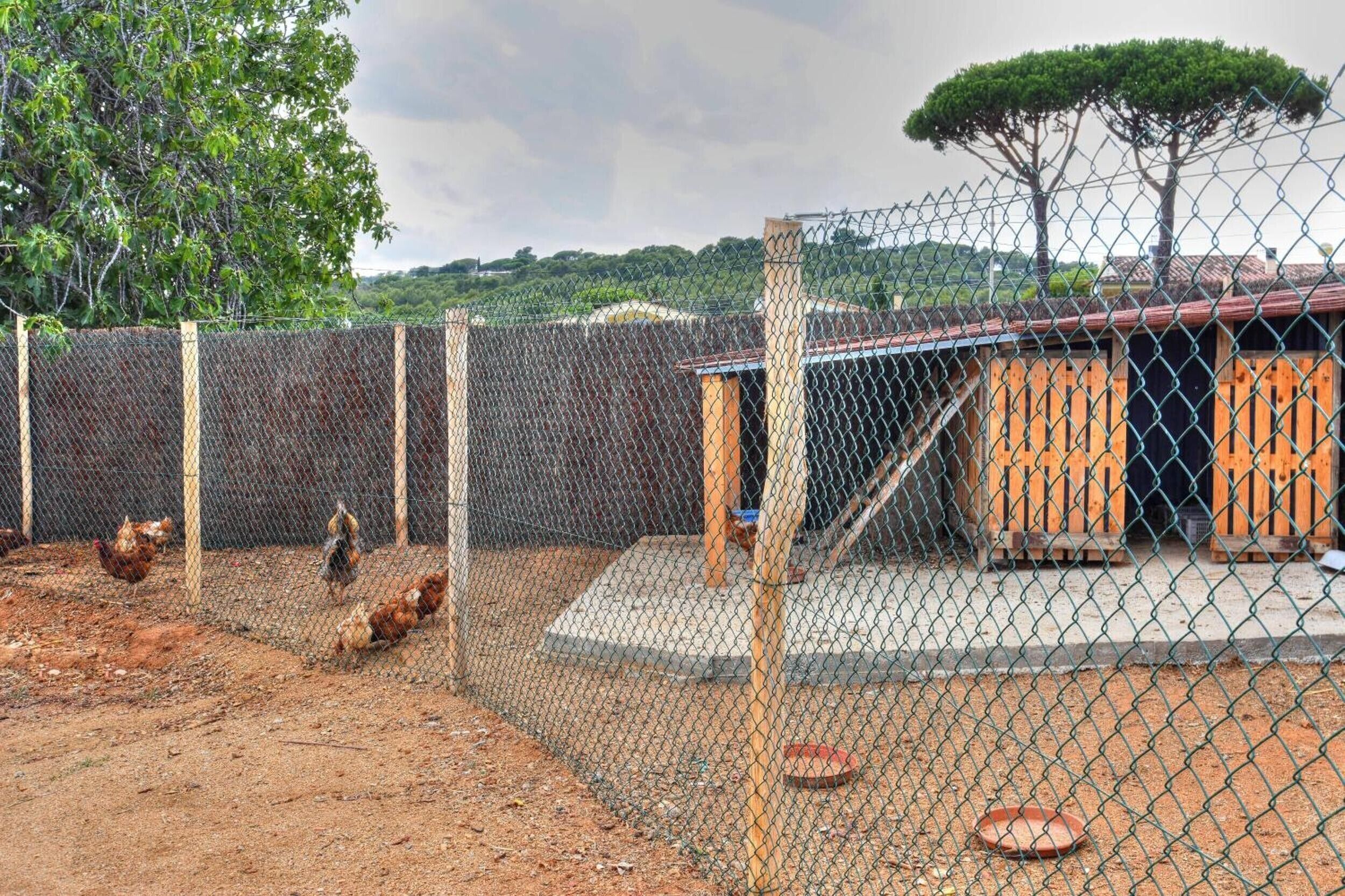 Área da propriedade