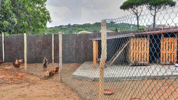 Área da propriedade