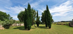 Property grounds - Quiet, detached cottage (Châteauneuf-du-Rhône)