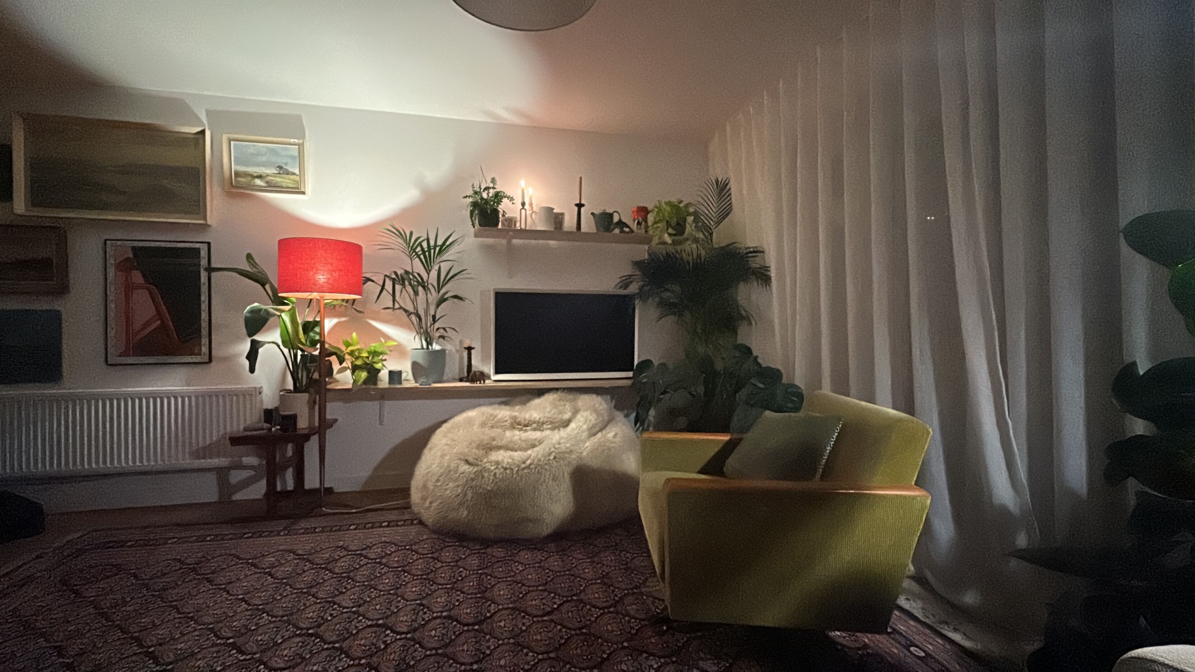 TV