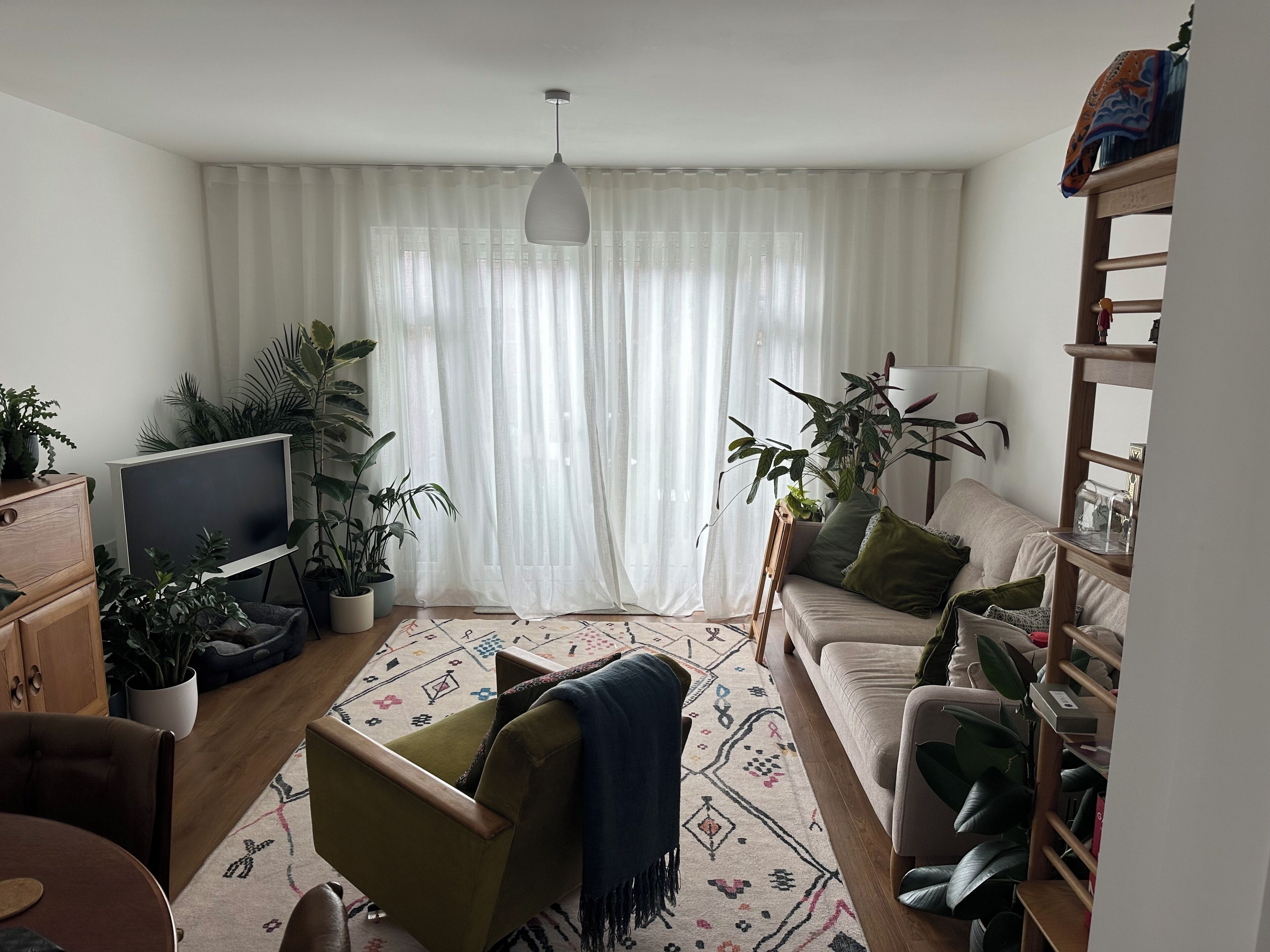 TV